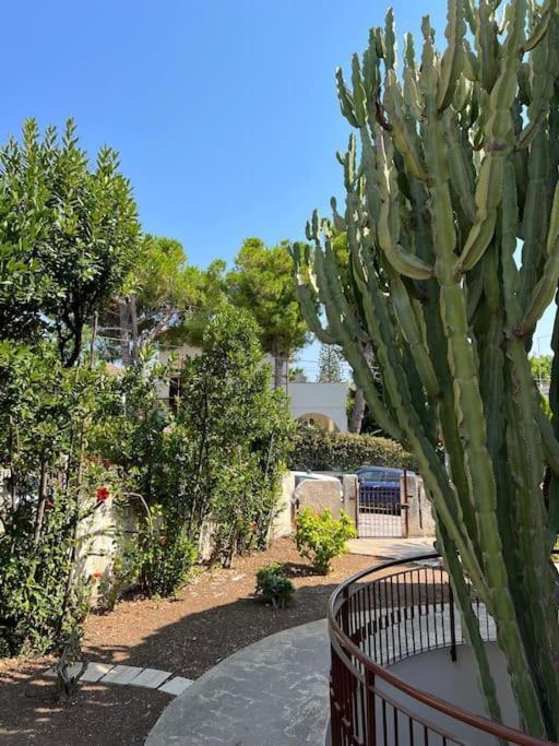 Villa Marika Fontane Bianche Εξωτερικό φωτογραφία